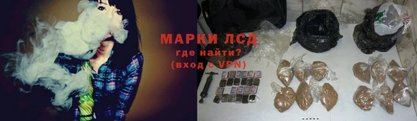 сатива Надым