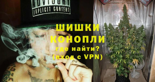 сатива Надым