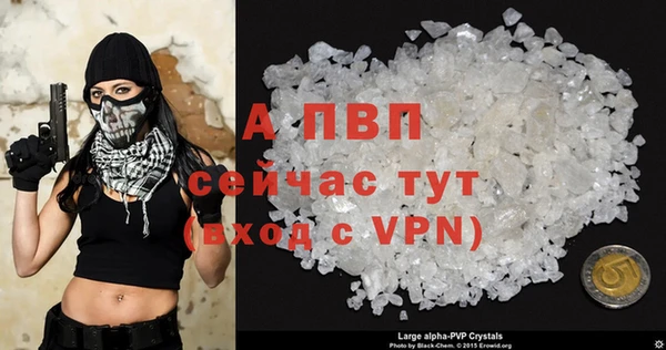 сатива Надым