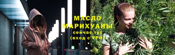 сатива Надым