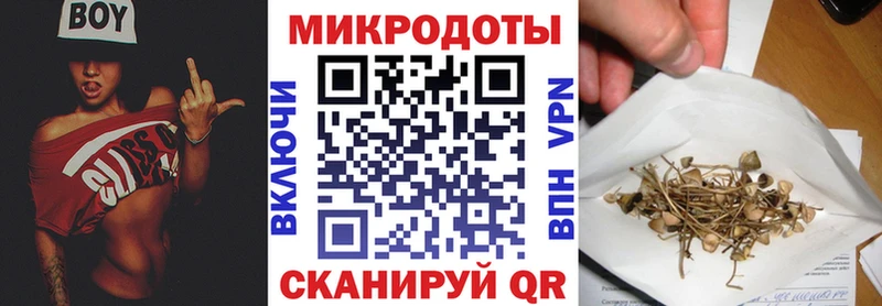 наркошоп  Починок  Псилоцибиновые грибы Psilocybine cubensis 